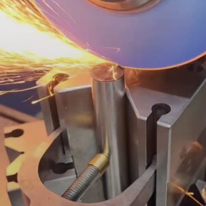 whatsapp image 2025 08 22 at 17.49.19